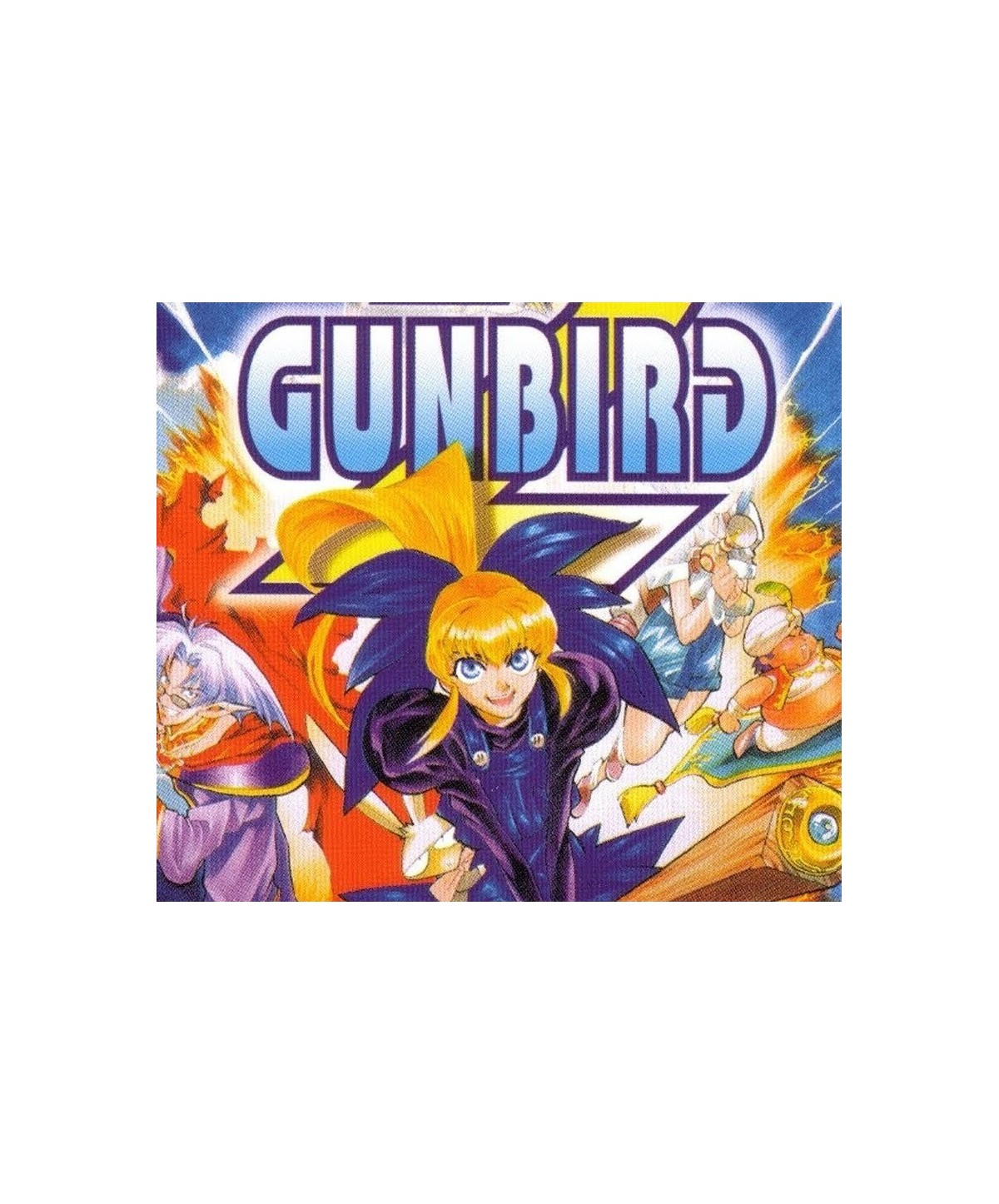 GUNBIRD Steam Key EUROPE